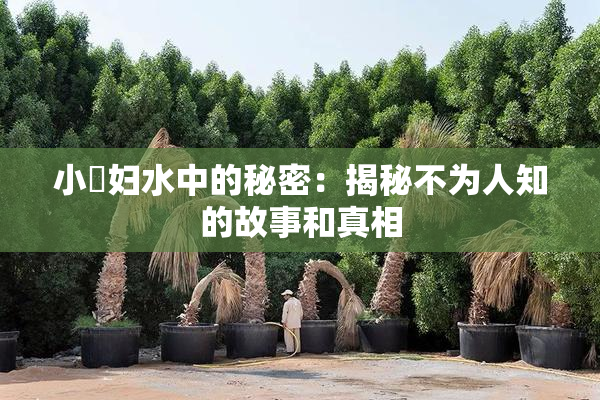 小婬妇水中的秘密：揭秘不为人知的故事和真相