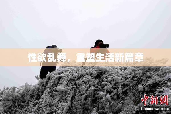 性欲乱舞，重塑生活新篇章