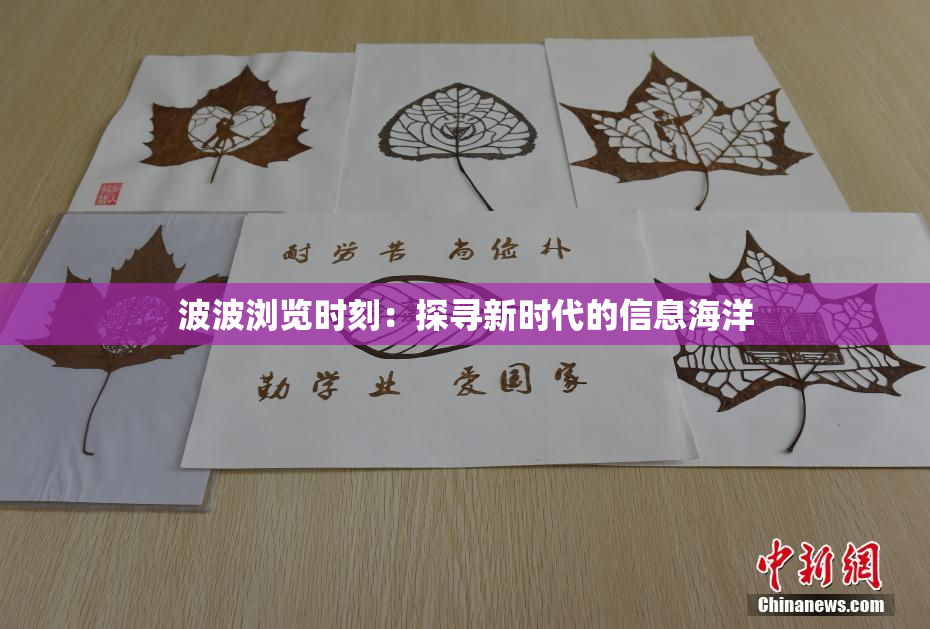 波波浏览时刻：探寻新时代的信息海洋