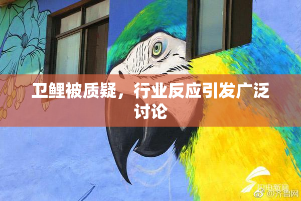 卫鲤被质疑，行业反应引发广泛讨论