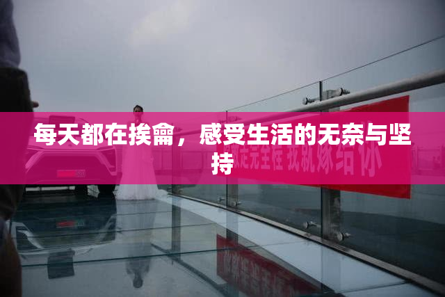 每天都在挨龠，感受生活的无奈与坚持