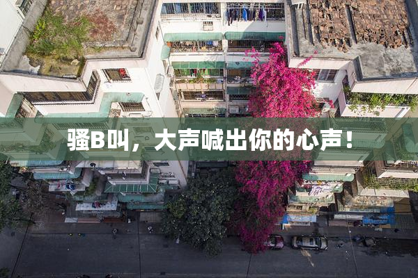 骚B叫，大声喊出你的心声！