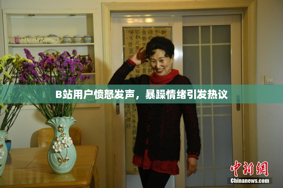 B站用户愤怒发声，暴躁情绪引发热议