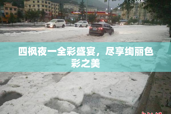 四枫夜一全彩盛宴，尽享绚丽色彩之美