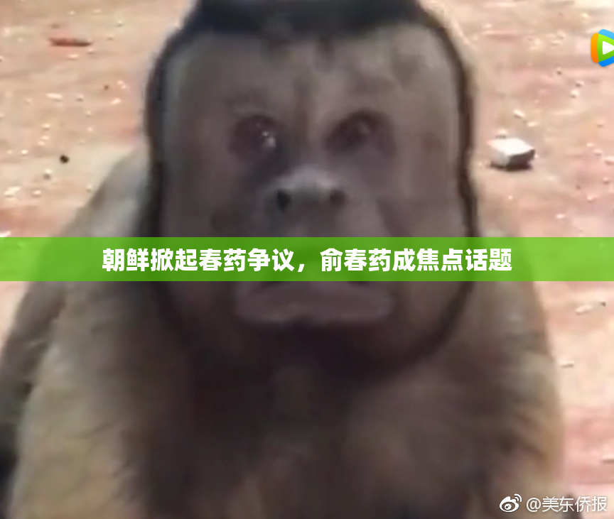 朝鲜掀起春药争议，俞春药成焦点话题