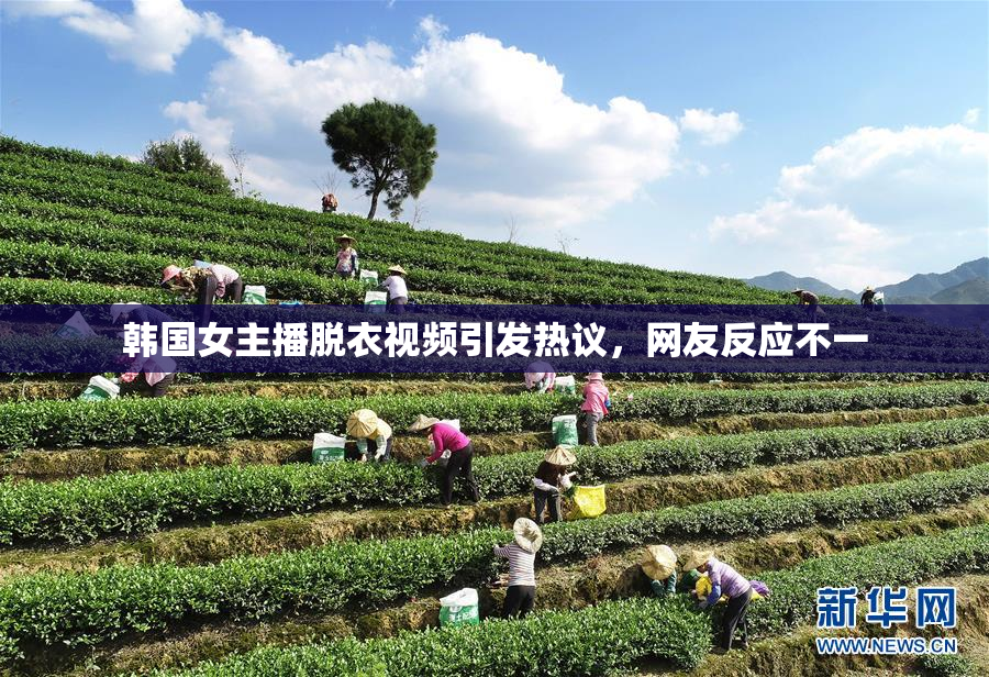 韩国女主播脱衣视频引发热议，网友反应不一