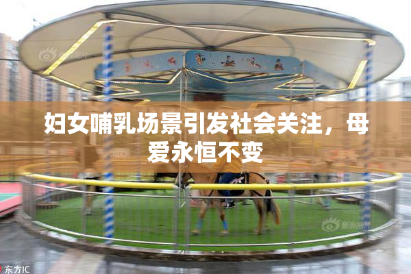 妇女哺乳场景引发社会关注，母爱永恒不变