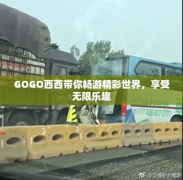 GOGO西西带你畅游精彩世界，享受无限乐趣