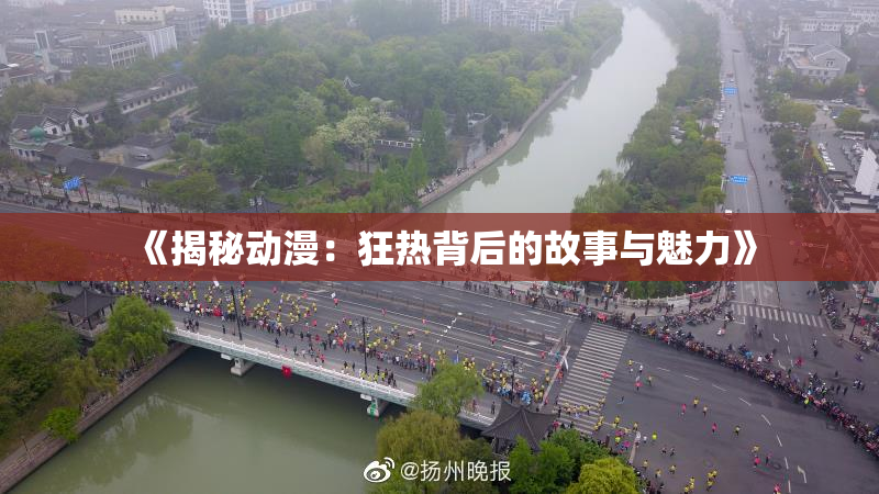 《揭秘动漫：狂热背后的故事与魅力》