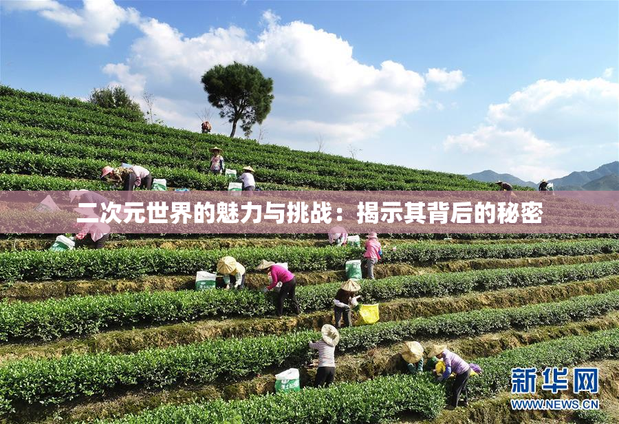 二次元世界的魅力与挑战：揭示其背后的秘密