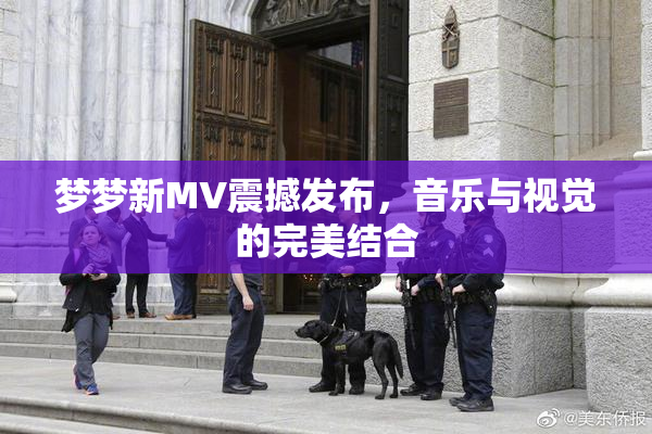 梦梦新MV震撼发布，音乐与视觉的完美结合