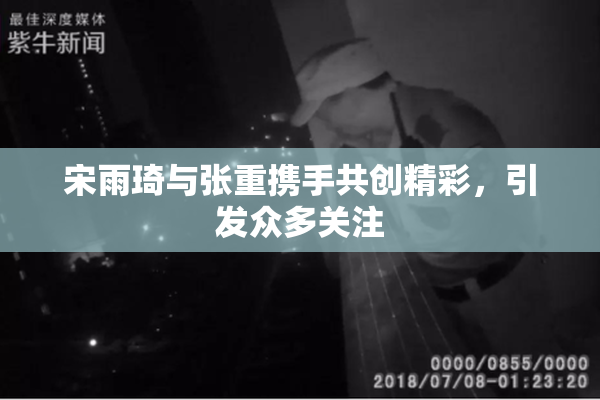 宋雨琦与张重携手共创精彩，引发众多关注