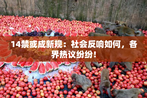 14禁或成新规：社会反响如何，各界热议纷纷！