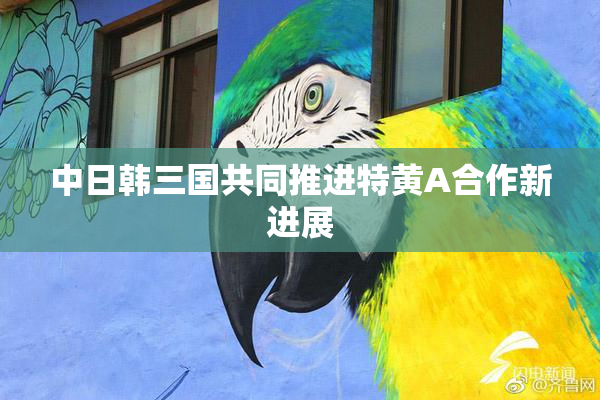 中日韩三国共同推进特黄A合作新进展