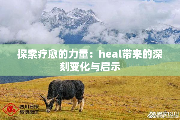 探索疗愈的力量：heal带来的深刻变化与启示