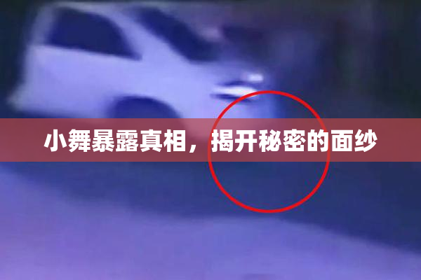 小舞暴露真相，揭开秘密的面纱