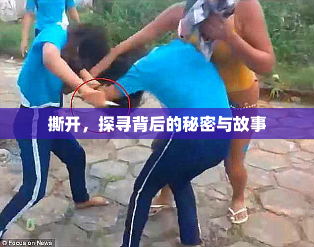 撕开，探寻背后的秘密与故事