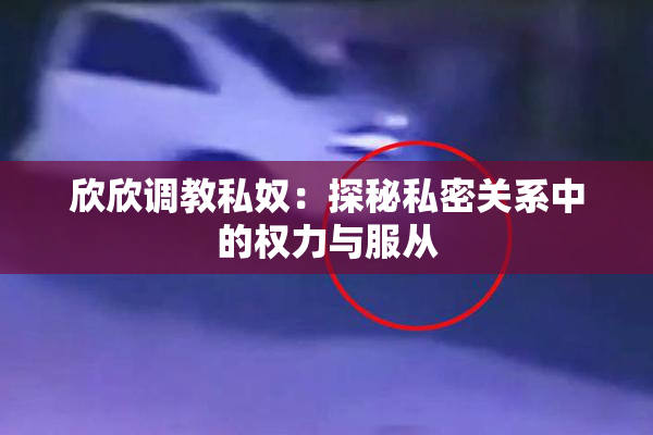 欣欣调教私奴：探秘私密关系中的权力与服从