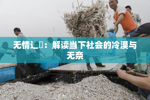 无情辶喿：解读当下社会的冷漠与无奈