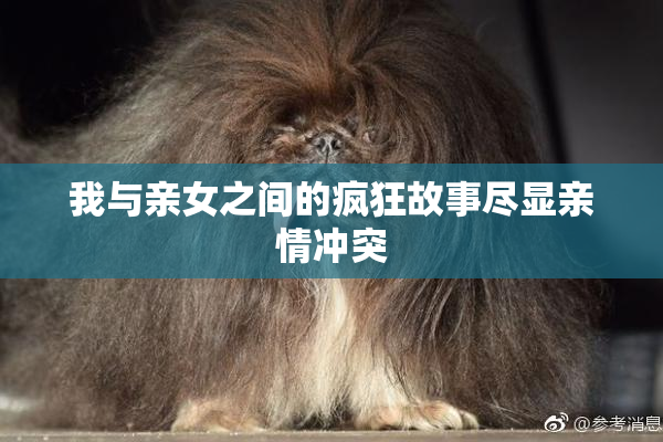 我与亲女之间的疯狂故事尽显亲情冲突