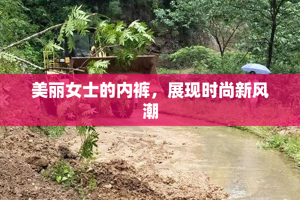 美丽女士的内裤，展现时尚新风潮