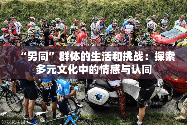“男同”群体的生活和挑战：探索多元文化中的情感与认同