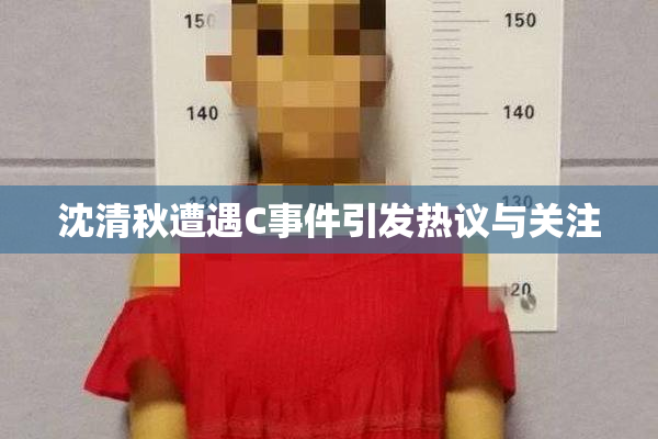 沈清秋遭遇C事件引发热议与关注