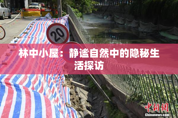 林中小屋：静谧自然中的隐秘生活探访