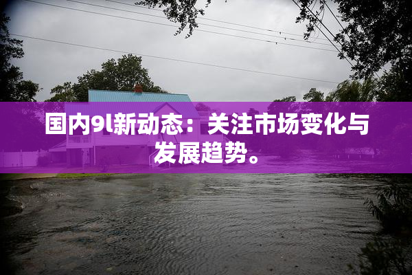 国内9l新动态：关注市场变化与发展趋势。