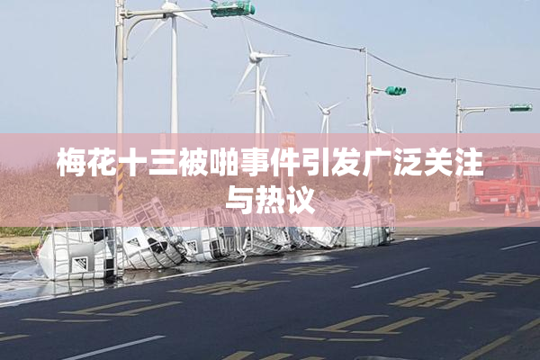 梅花十三被啪事件引发广泛关注与热议