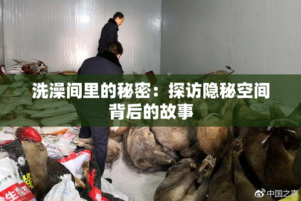 洗澡间里的秘密：探访隐秘空间背后的故事