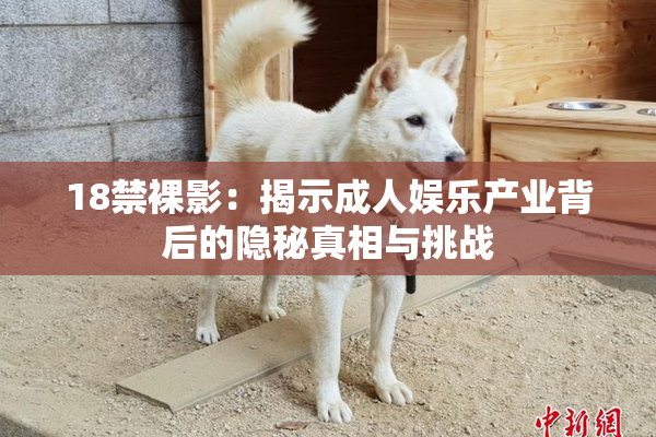 18禁裸影：揭示成人娱乐产业背后的隐秘真相与挑战