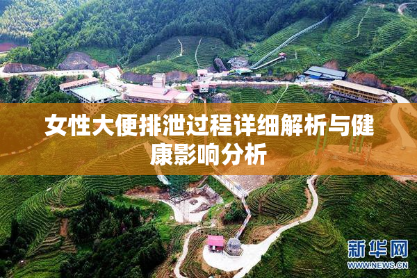 女性大便排泄过程详细解析与健康影响分析