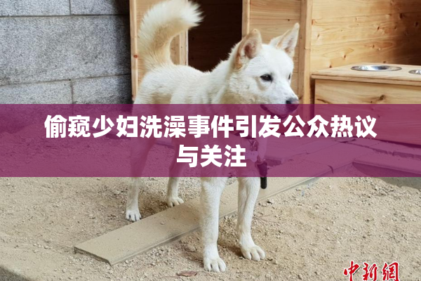 偷窥少妇洗澡事件引发公众热议与关注
