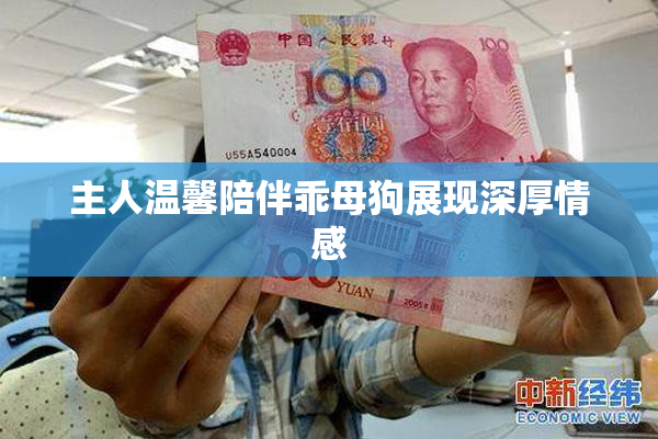 主人温馨陪伴乖母狗展现深厚情感