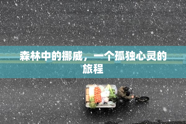 森林中的挪威，一个孤独心灵的旅程