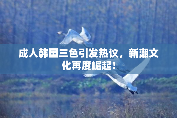 成人韩国三色引发热议，新潮文化再度崛起！