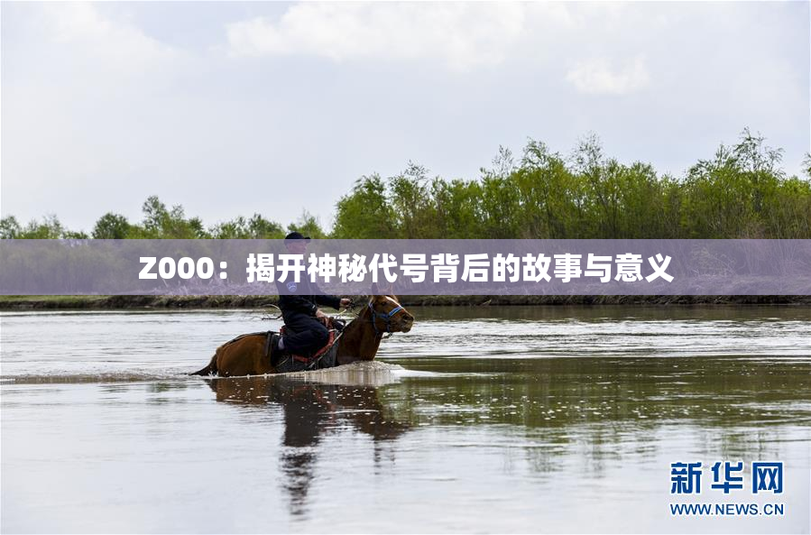 Z000：揭开神秘代号背后的故事与意义