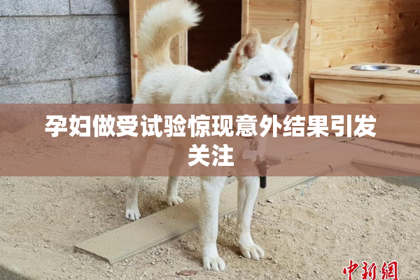 孕妇做受试验惊现意外结果引发关注