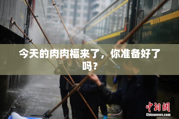 今天的肉肉福来了，你准备好了吗？