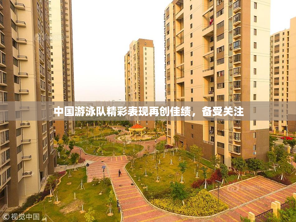 中国游泳队精彩表现再创佳绩，备受关注