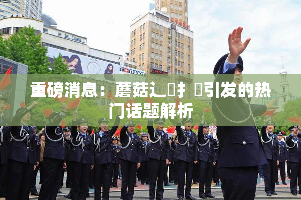 重磅消息：蘑菇辶喿扌畐引发的热门话题解析