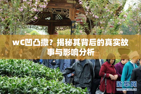 wC凹凸撒？揭秘其背后的真实故事与影响分析