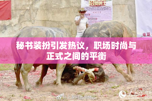 秘书装扮引发热议，职场时尚与正式之间的平衡