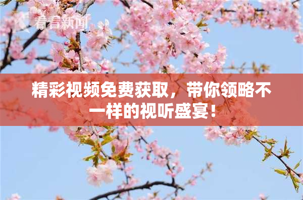 精彩视频免费获取，带你领略不一样的视听盛宴！