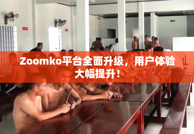 Zoomko平台全面升级，用户体验大幅提升！