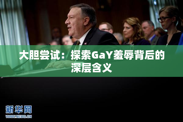 大胆尝试：探索GaY羞辱背后的深层含义