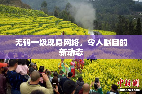 无码一级现身网络，令人瞩目的新动态