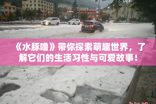 《水豚噜》带你探索萌趣世界，了解它们的生活习性与可爱故事！