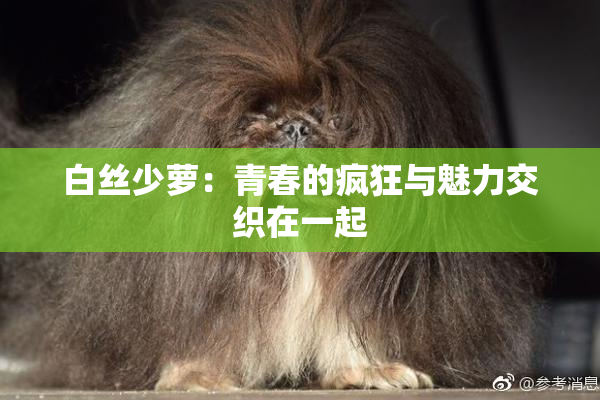 白丝少萝：青春的疯狂与魅力交织在一起